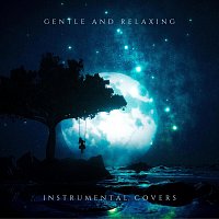 Různí interpreti – Gentle and Relaxing Instrumental Covers