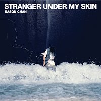 - - – Stranger Under My Skin