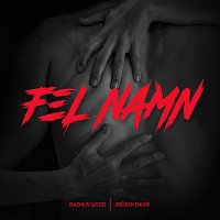 Rasmus Gozzi, FROKEN SNUSK – FEL NAMN