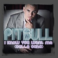 Pitbull – I Know You Want Me (Calle Ocho) [Radio Edit]