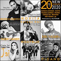 Různí interpreti – 20 New Singles 2020 Volume 1