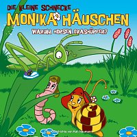 Die kleine Schnecke Monika Hauschen – 11: Warum hopsen Grashupfer?