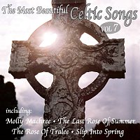 Různí interpreti – The most beautiful Celtic Songs - Vol. 7