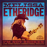 Melissa Etheridge – The Shadow Of A Black Crow [Live From Topeka Correctional Facility]