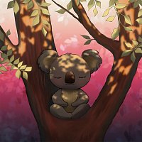 Calming Koala – Beautiful Light