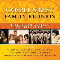 Různí interpreti – Gospel's Best - Family Reunion