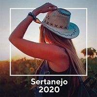 Various  Artists – Sertanejo 2020