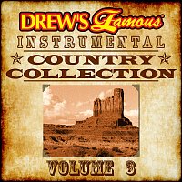 The Hit Crew – Drew's Famous Instrumental Country Collection, Vol. 3