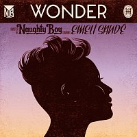 Naughty Boy, Emeli Sandé – Wonder