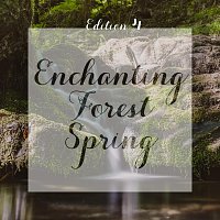 Různí interpreti – Enchanting Forest Spring, Edition 4 (Original Score)