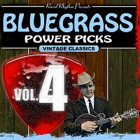 Různí interpreti – Bluegrass Power Picks [Vol.4]
