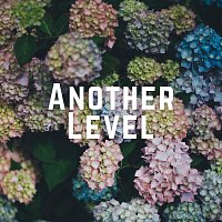 Přední strana obalu CD Another Level