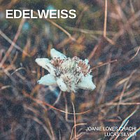 Joanie Loves Chachi, Lucas Silver – Edelweiss (feat. Lucas Silver)