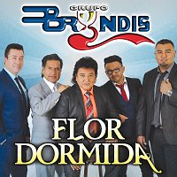 Grupo Bryndis – Flor Dormida
