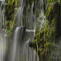 Přední strana obalu CD Remis