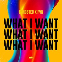 Kongsted, FVN – What I Want
