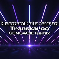Herman Holtzhausen, SENSASIE – Transkaroo [SENSASIE Remix]