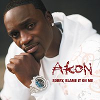 Akon – Sorry, Blame It On Me [Int'l ECD]