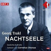 Georg Trakl: Nachtseele