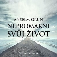 Tomáš Voženílek – Grün: Nepromarni svůj život MP3