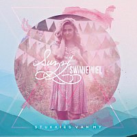 Přední strana obalu CD Stukkies Van My