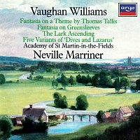 Přední strana obalu CD Vaughan Williams: Tallis Fantasia; Fantasia on Greensleeves; The Lark Ascending etc.