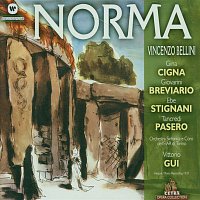 Vittorio Gui – Norma