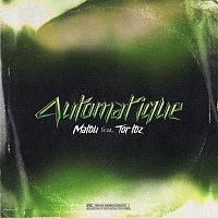 Matou, Tortoz – Automatique