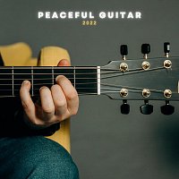 Různí interpreti – Peaceful Guitar 2022