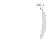Alice – Alice 1 [+4 / Remastered 2024]