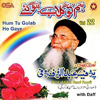 Prof. Abdul Rauf Roofi – Hum Tu Gulab Ho Gaye, Vol. 22