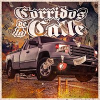 Různí interpreti – Corridos De La Calle
