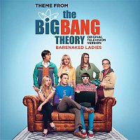 Barenaked Ladies – Theme From The Big Bang Theory (Original Television Version)