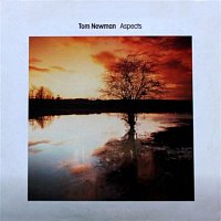 Tom Newman – Aspects