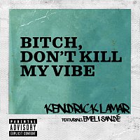 Přední strana obalu CD Bitch, Don't Kill My Vibe [Remix]