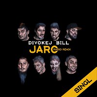 Přední strana obalu CD Jaro (radio remix)