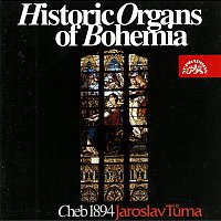 Jaroslav Tůma – Historické varhany II. Sv. Mikuláš v Chebu MP3