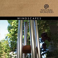 David Arkenstone – Windscapes