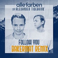 Alle Farben, Alexander Tidebrink – Follow You (Bakermat Remix)