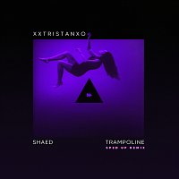 SHAED – Trampoline [Sped Up]