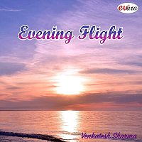 V. Venkatesh Sharma – Evening Flight