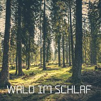 Kinder der Sonne – Wald im Schlaf