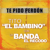 Přední strana obalu CD Te Pido Perdón