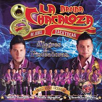 Banda La Chacaloza De Jerez Zacatecas – Alegres Y Pisteadoras