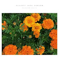 Elliott Jack Sansom – Blossom Waltz