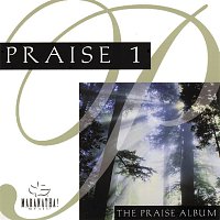 Přední strana obalu CD Praise 1 - The Praise Album
