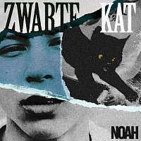 NOAH – Zwarte Kat