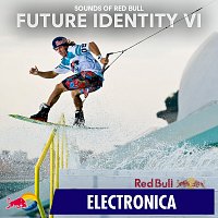 Přední strana obalu CD Future Identity VI