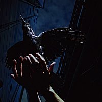 9mm Parabellum Bullet – Cold Edge - EP