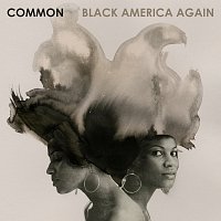 Common, Stevie Wonder – Black America Again